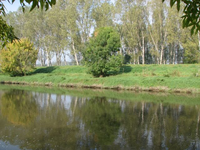 IMG_3016