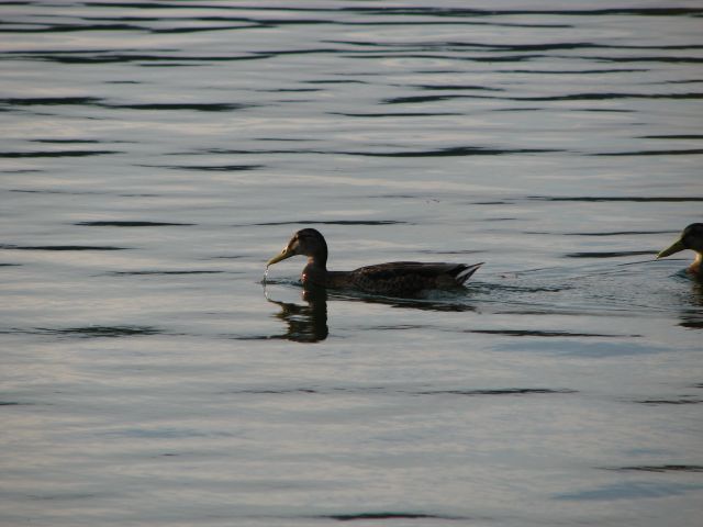 IMG_1662