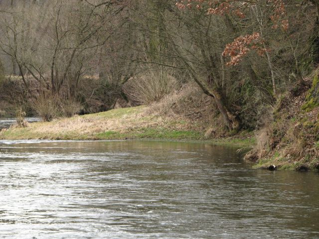 IMG_1380