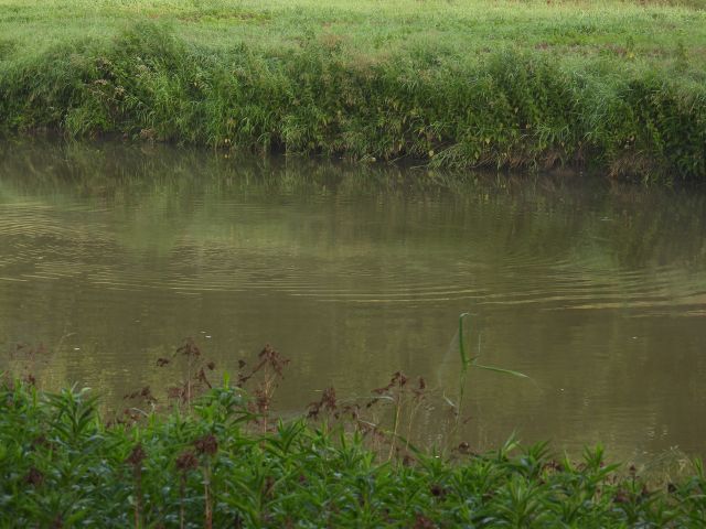 DSCN2091
