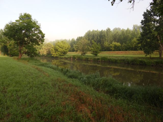 DSCN2093