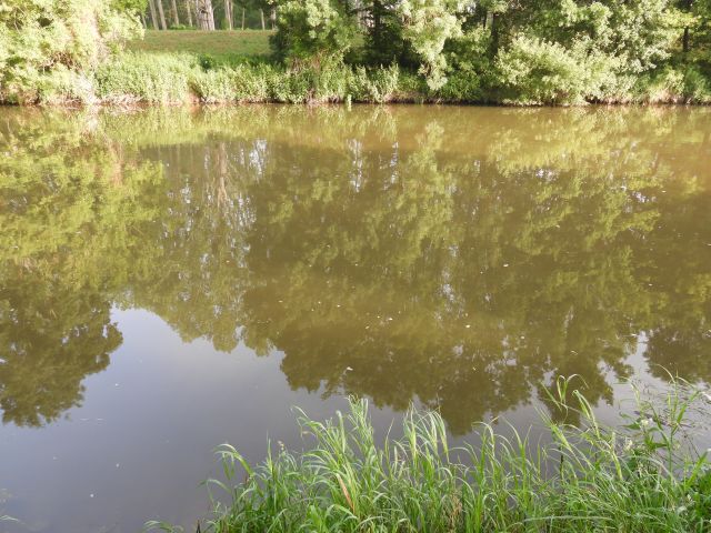 DSCN2113