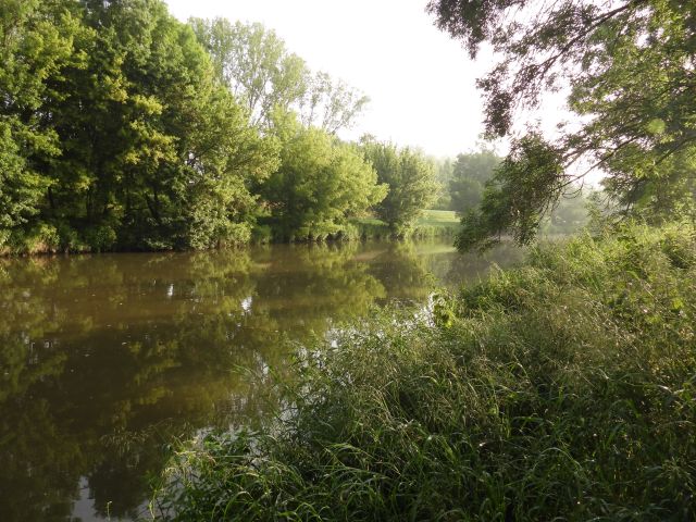 DSCN2114