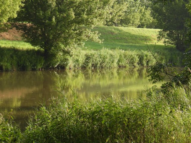DSCN2131
