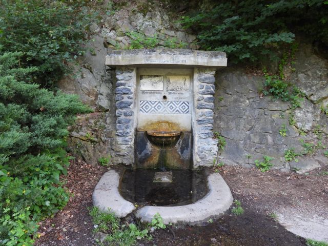 DSCN2368