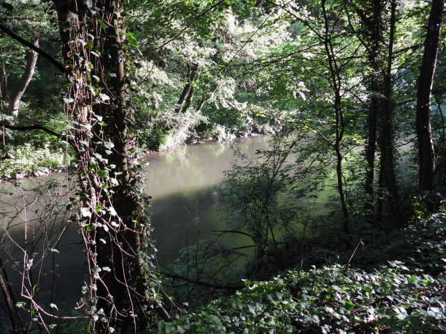 DSCN2327