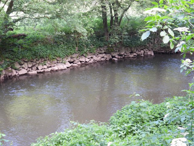 DSCN2361