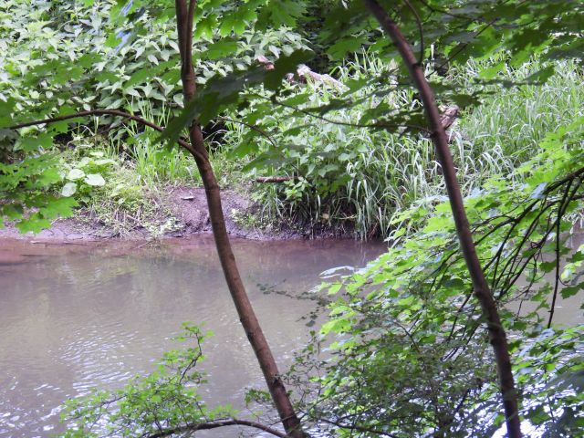 DSCN2364